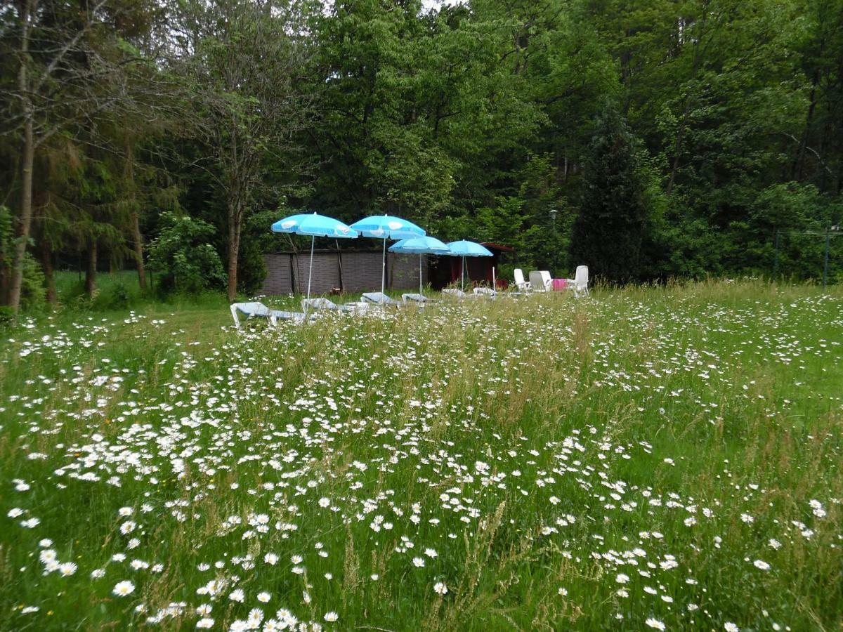Wellness und Romantik Hotel Helmboldt Bad Sachsa Eksteriør billede